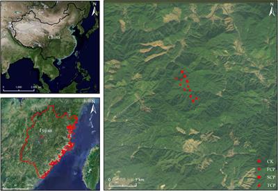 Variations of rhizosphere and bulk soil microbial community in successive planting of Chinese fir (Cunninghamia lanceolata)